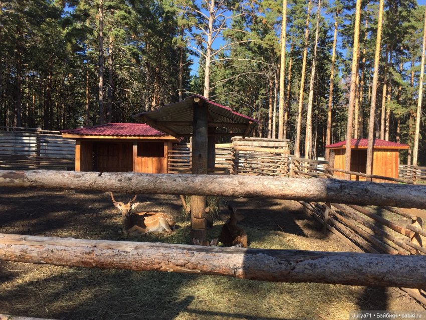 Музей народов Забайкалья. Часть3-завершающая (фото 8)