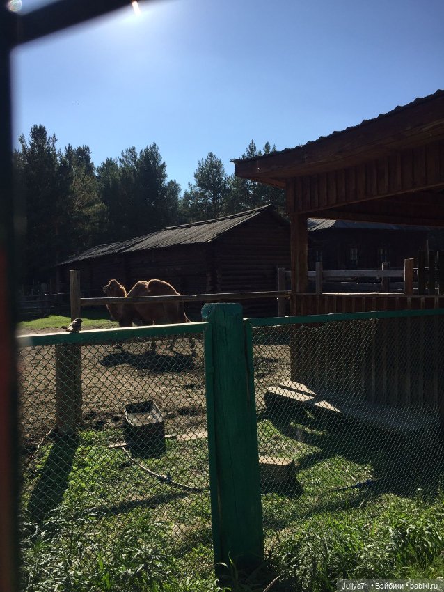 Музей народов Забайкалья. Часть3-завершающая (фото 2)