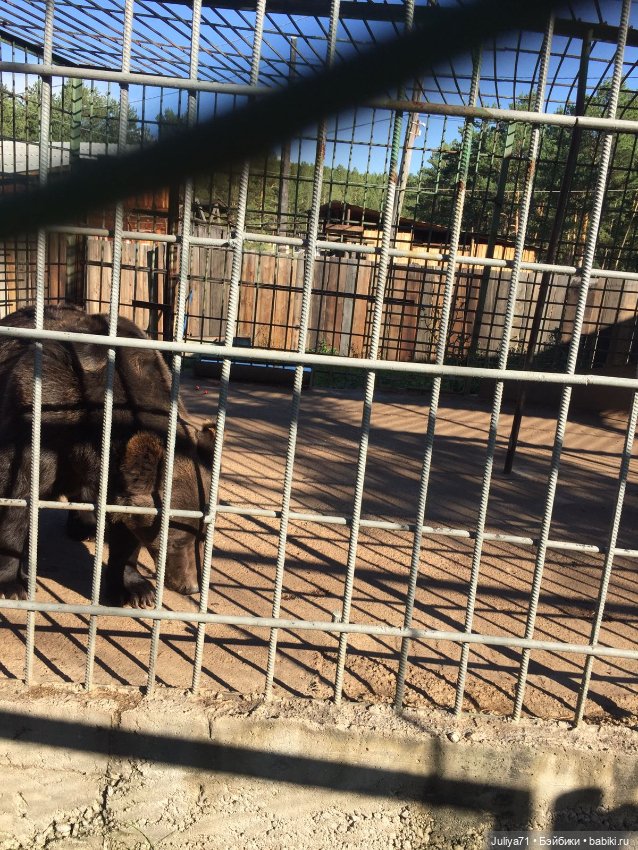 Музей народов Забайкалья. Часть3-завершающая (фото 5)