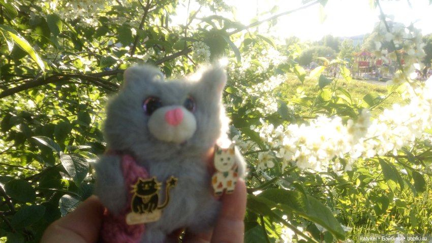 Всё цветёт. Пушин и Ко. 9 мая