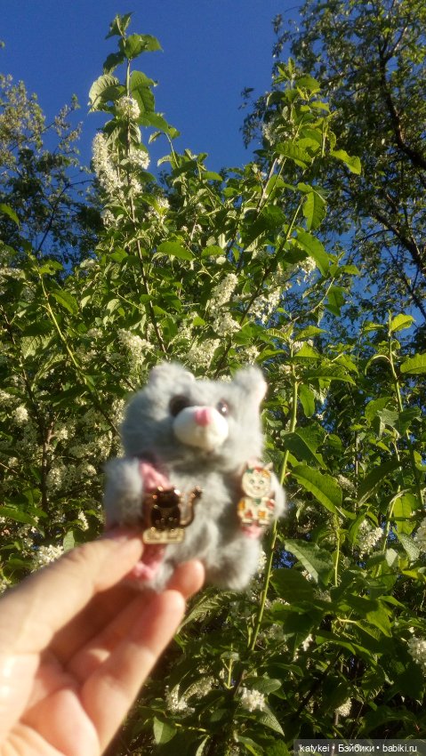 Всё цветёт. Пушин и Ко. 9 мая