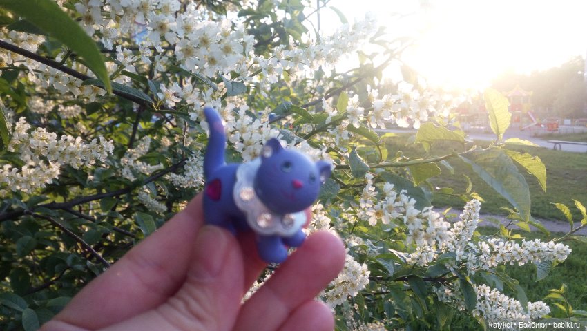 Всё цветёт. Пушин и Ко. 9 мая