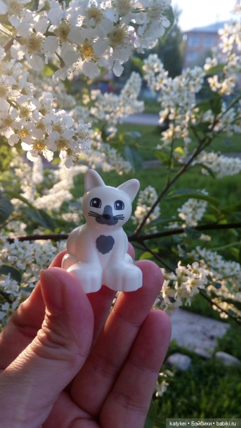 Всё цветёт. Пушин и Ко. 9 мая