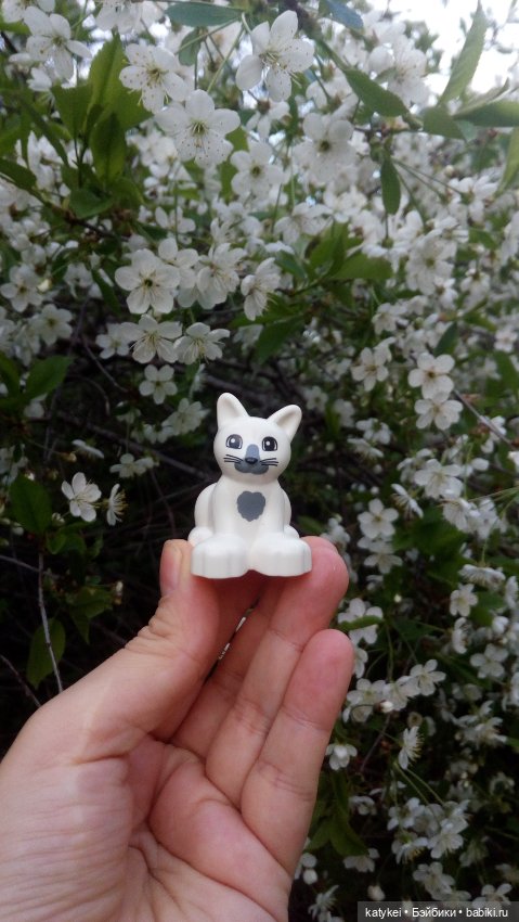 Всё цветёт. Пушин и Ко. 9 мая