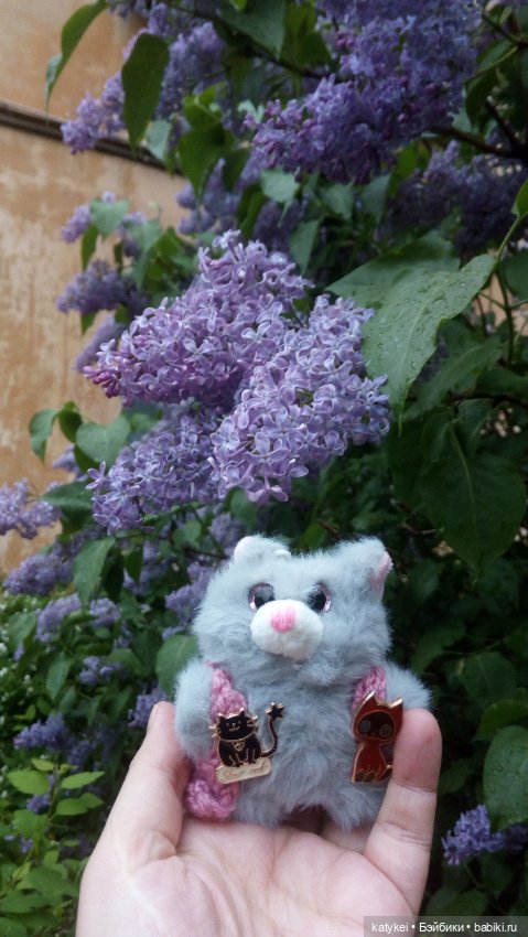 Всё цветёт. Пушин и Ко. 9 мая