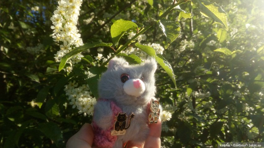 Всё цветёт. Пушин и Ко. 9 мая