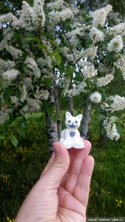 Всё цветёт. Пушин и Ко. 9 мая