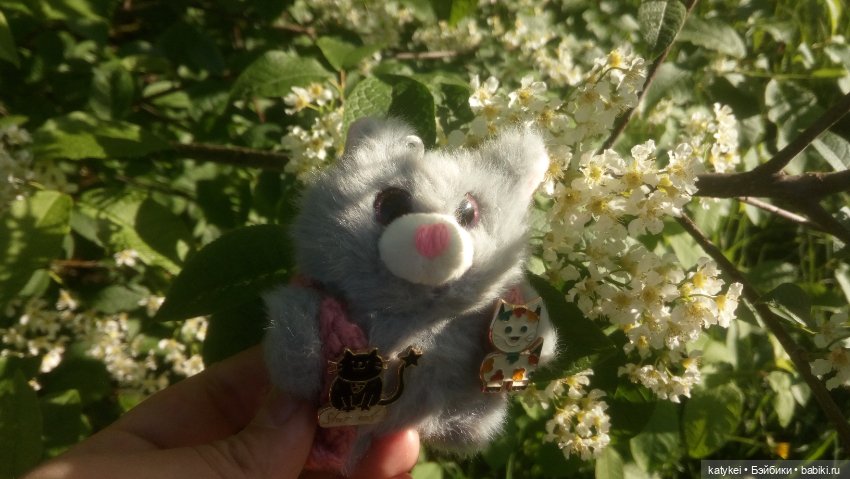 Всё цветёт. Пушин и Ко. 9 мая