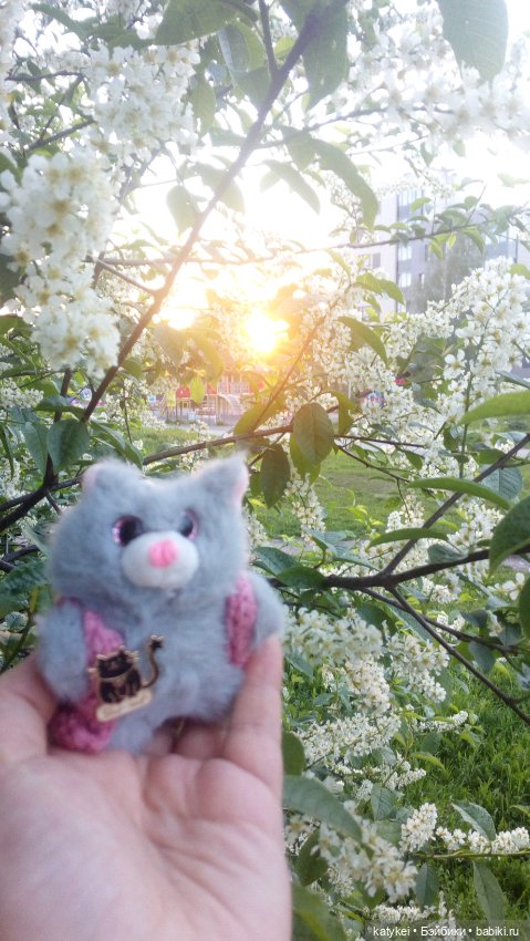 Всё цветёт. Пушин и Ко. 9 мая