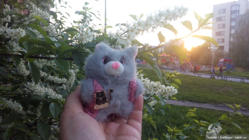 Всё цветёт. Пушин и Ко. 9 мая