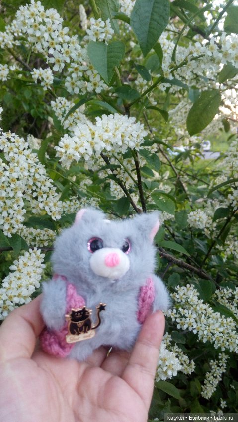 Всё цветёт. Пушин и Ко. 9 мая