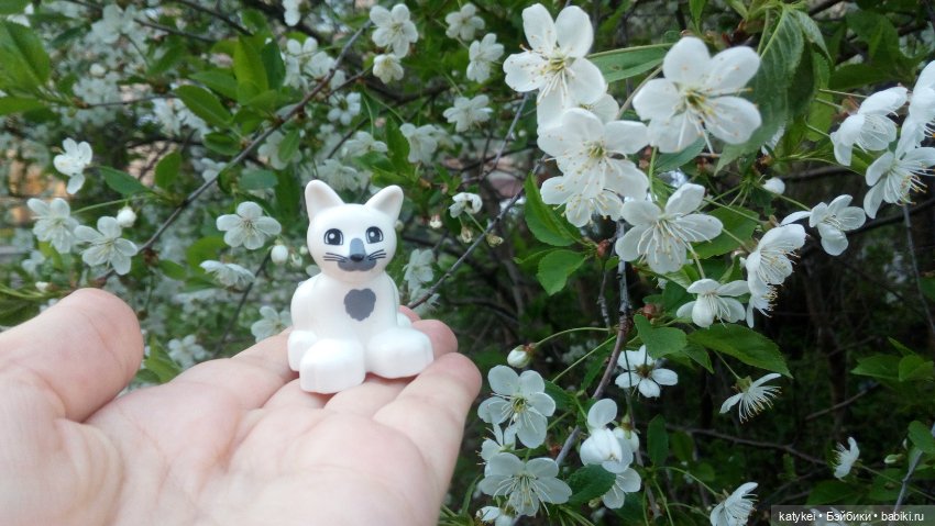 Всё цветёт. Пушин и Ко. 9 мая