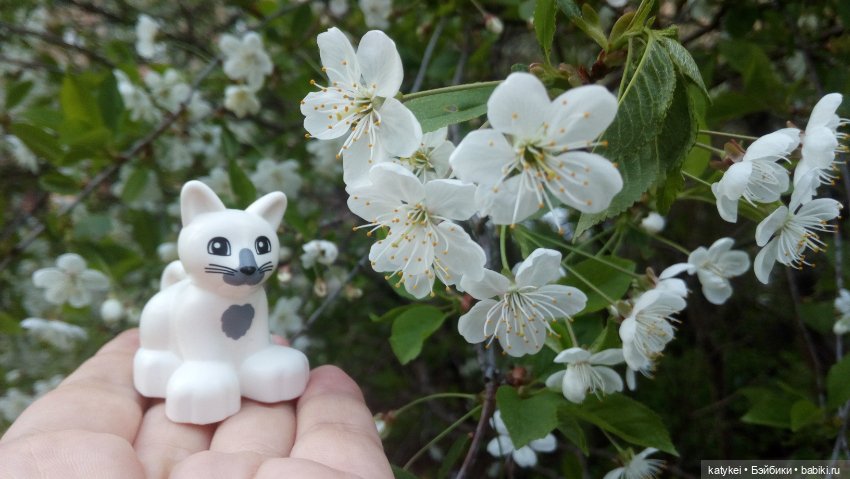 Всё цветёт. Пушин и Ко. 9 мая