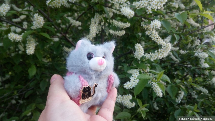 Всё цветёт. Пушин и Ко. 9 мая