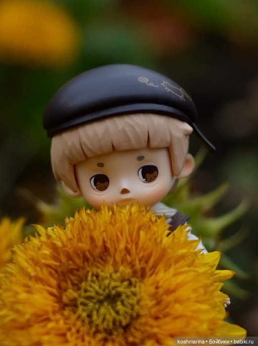 Я спрошу у осени — Разные шарнирные куклы (не БЖД): редкие (фото 5)