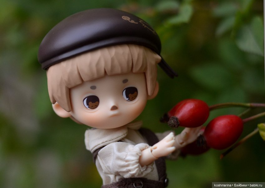 Я спрошу у осени — Разные шарнирные куклы (не БЖД): редкие (фото 4)