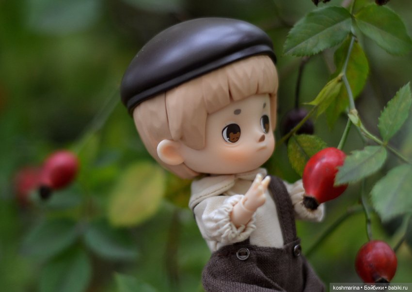 Я спрошу у осени — Разные шарнирные куклы (не БЖД): редкие (фото 3)