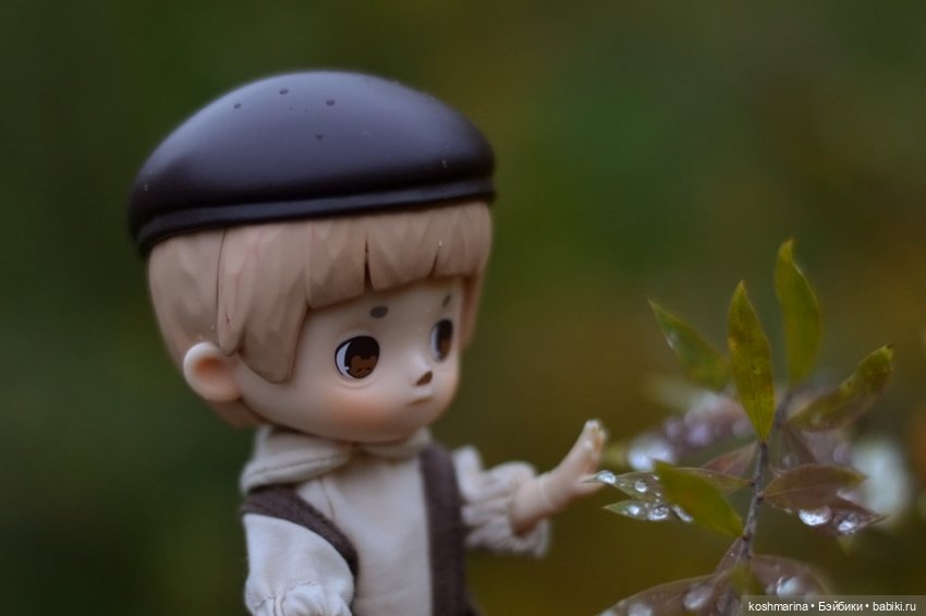 Я спрошу у осени — Разные шарнирные куклы (не БЖД): редкие