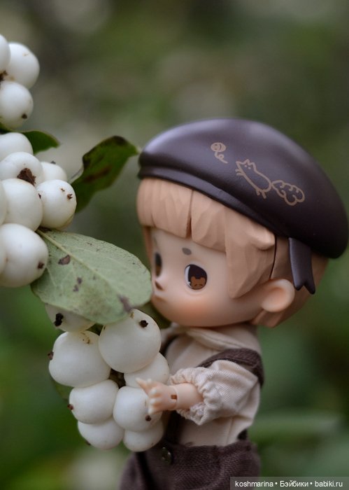 Я спрошу у осени — Разные шарнирные куклы (не БЖД): редкие (фото 7)