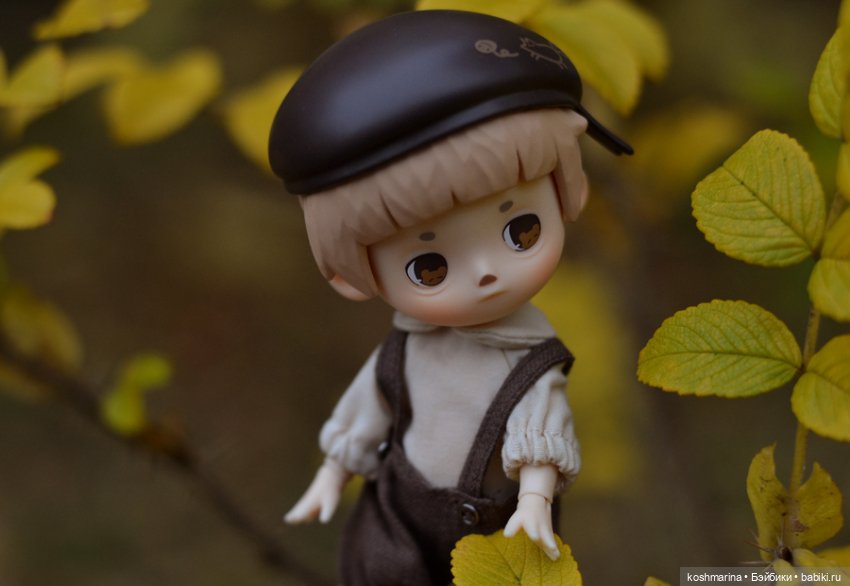 Я спрошу у осени — Разные шарнирные куклы (не БЖД): редкие (фото 6)