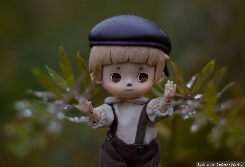 Я спрошу у осени — Разные шарнирные куклы (не БЖД): редкие