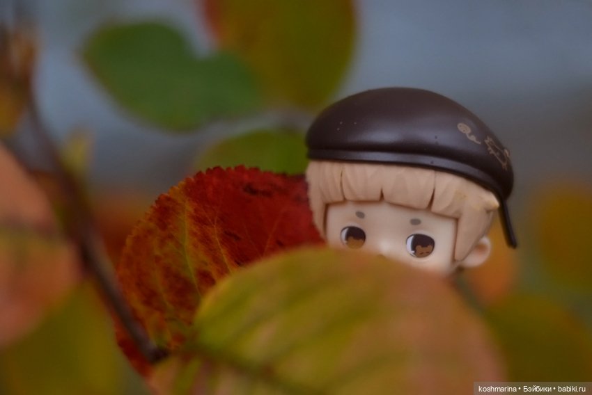 Я спрошу у осени — Разные шарнирные куклы (не БЖД): редкие