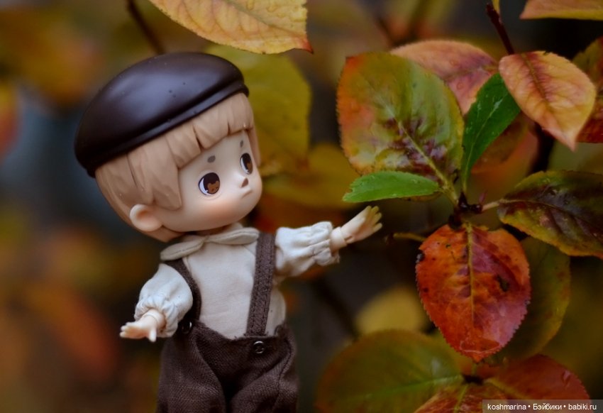 Я спрошу у осени — Разные шарнирные куклы (не БЖД): редкие
