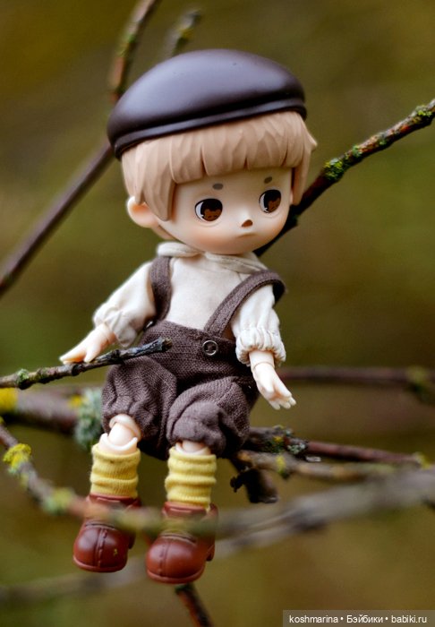 Я спрошу у осени — Разные шарнирные куклы (не БЖД): редкие