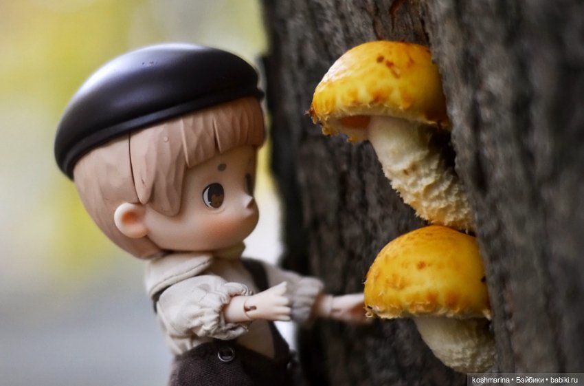 Я спрошу у осени — Разные шарнирные куклы (не БЖД): редкие