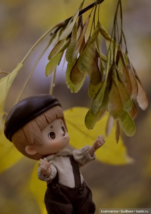 Я спрошу у осени — Разные шарнирные куклы (не БЖД): редкие