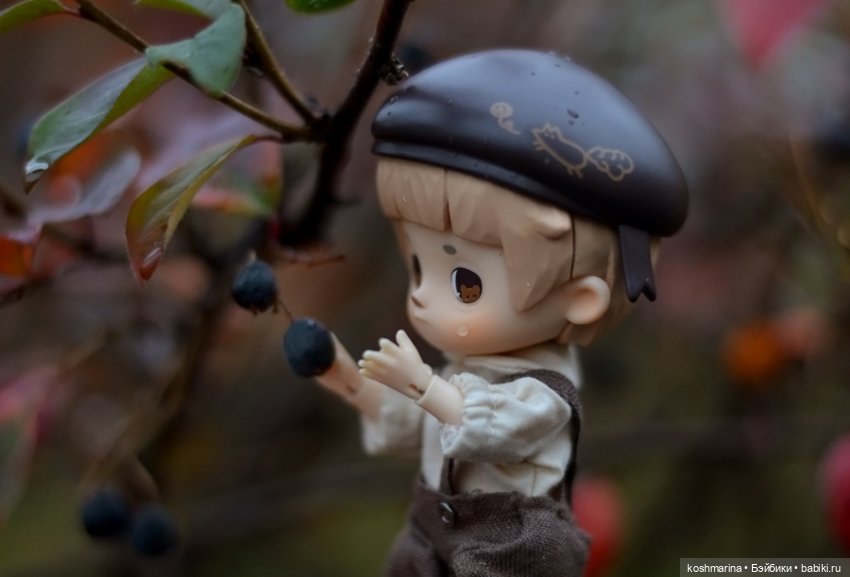 Я спрошу у осени — Разные шарнирные куклы (не БЖД): редкие
