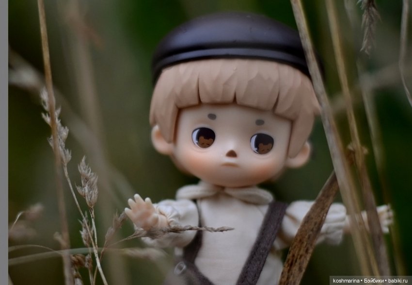 Я спрошу у осени — Разные шарнирные куклы (не БЖД): редкие