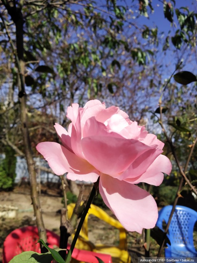 Мое имя🌼 — Домашние фото авторских кукол: личные коллекции