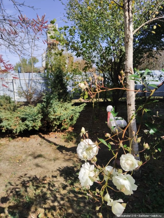 Мое имя🌼 — Домашние фото авторских кукол: личные коллекции