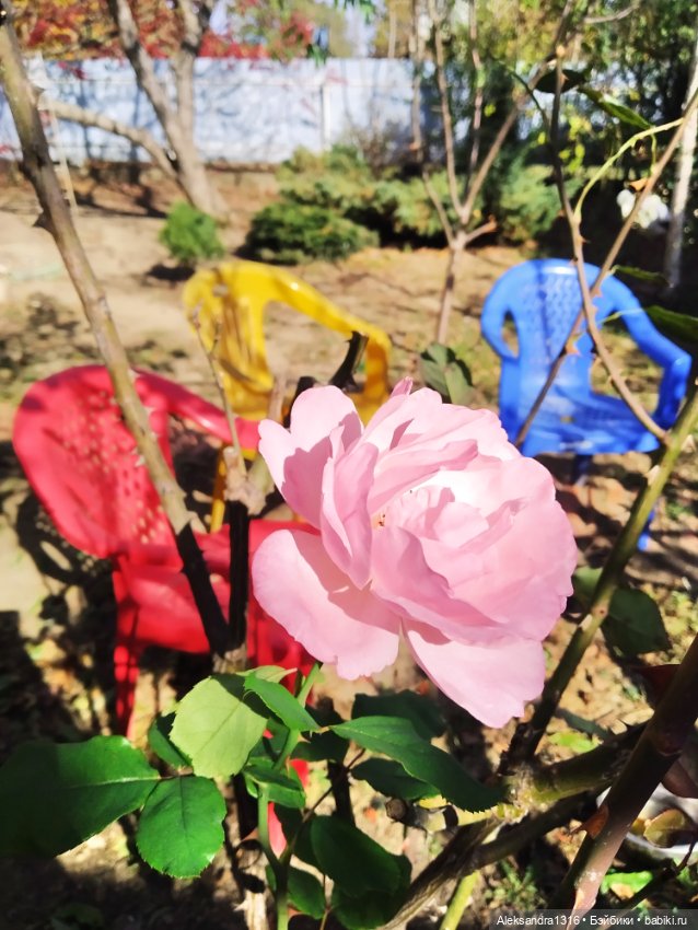 Мое имя🌼 — Домашние фото авторских кукол: личные коллекции (фото 4)