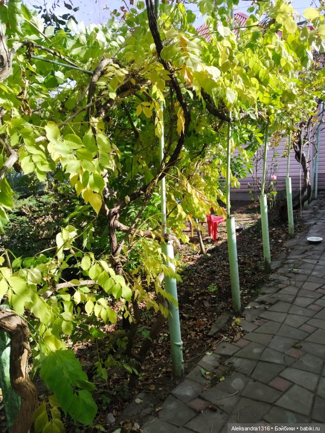 Мое имя🌼 — Домашние фото авторских кукол: личные коллекции