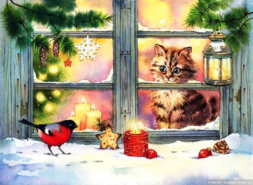 Иллюстрации Евгении Чистотиной