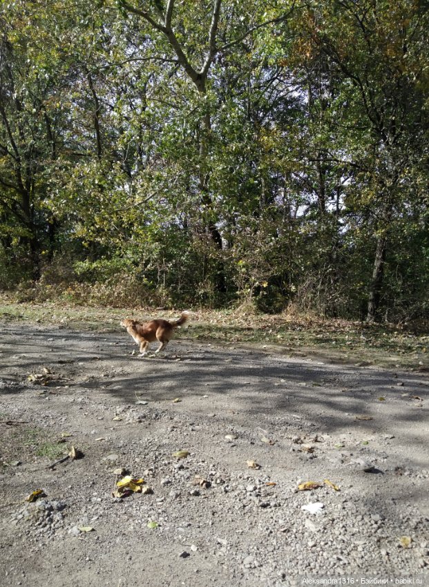 Мое имя🌼 — Домашние фото авторских кукол: личные коллекции