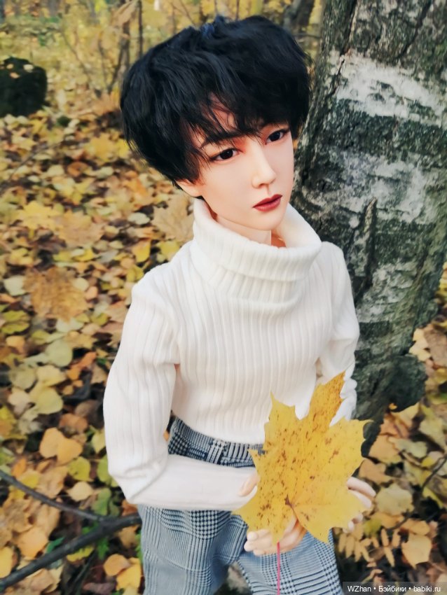 Ещё немного нашей осени — Разные шарнирные куклы (не БЖД): редкие (фото 6)