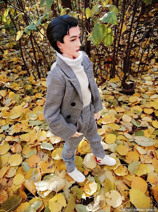 Ещё немного нашей осени — Разные шарнирные куклы (не БЖД): редкие