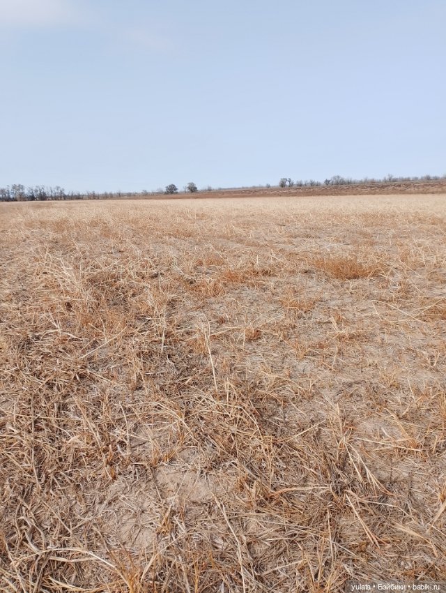 Унылая пора — Домашние фото авторских кукол: личные коллекции