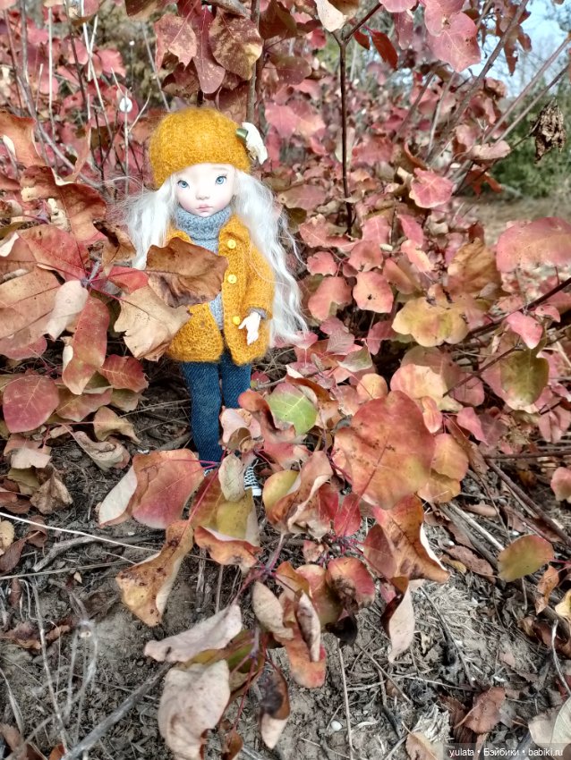 Унылая пора — Домашние фото авторских кукол: личные коллекции (фото 2)