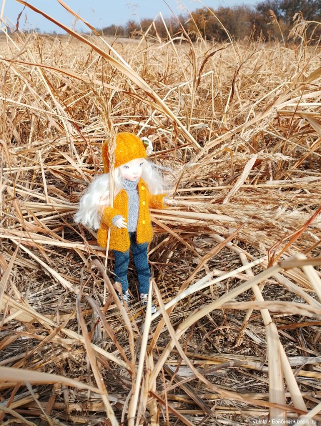 Унылая пора — Домашние фото авторских кукол: личные коллекции (фото 7)