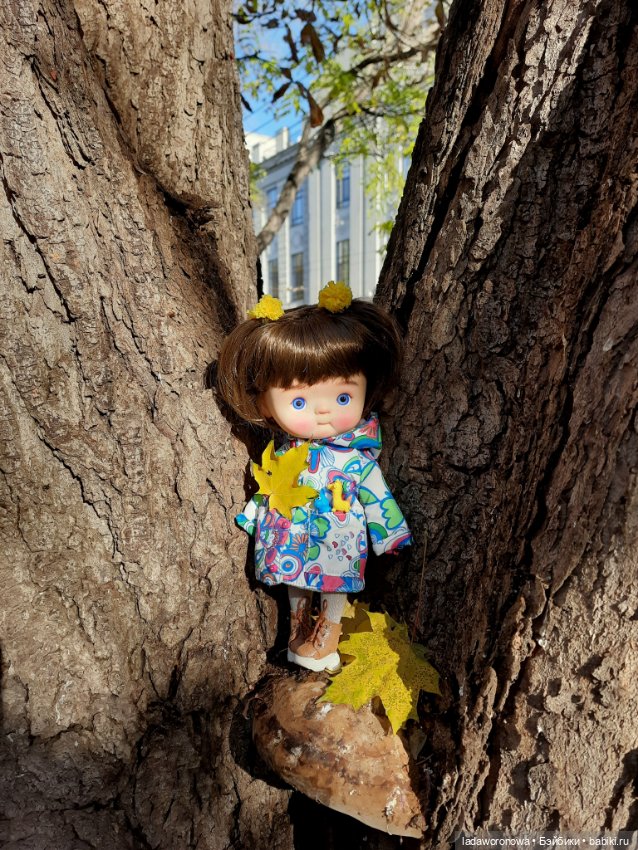 Золото осени 🍂🍁 — Куклы Qbaby (Кьюбейби) Rodgerdoll: для тела Ob11 (фото 4)