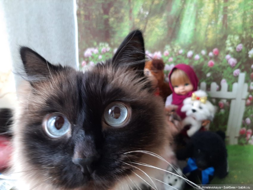 Мои пупсы: Маша — Куклы Paola Reina (Паола Рейна): новинки