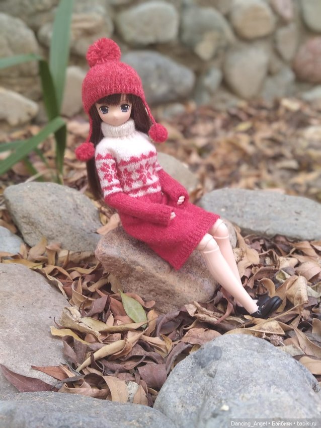 Осенние азоночки — Одежда и обувь для кукол своими руками: фото (фото 3)