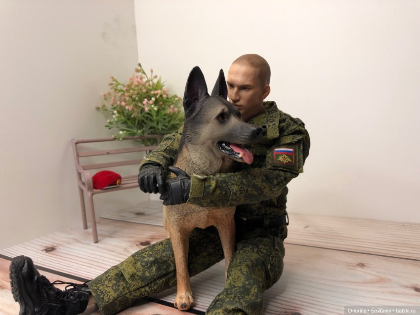 В нашем полку прибыло — Коллекционные экшн