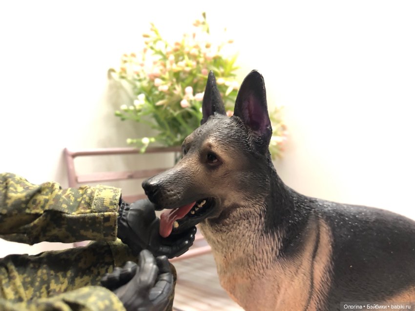 В нашем полку прибыло — Коллекционные экшн (фото 5)