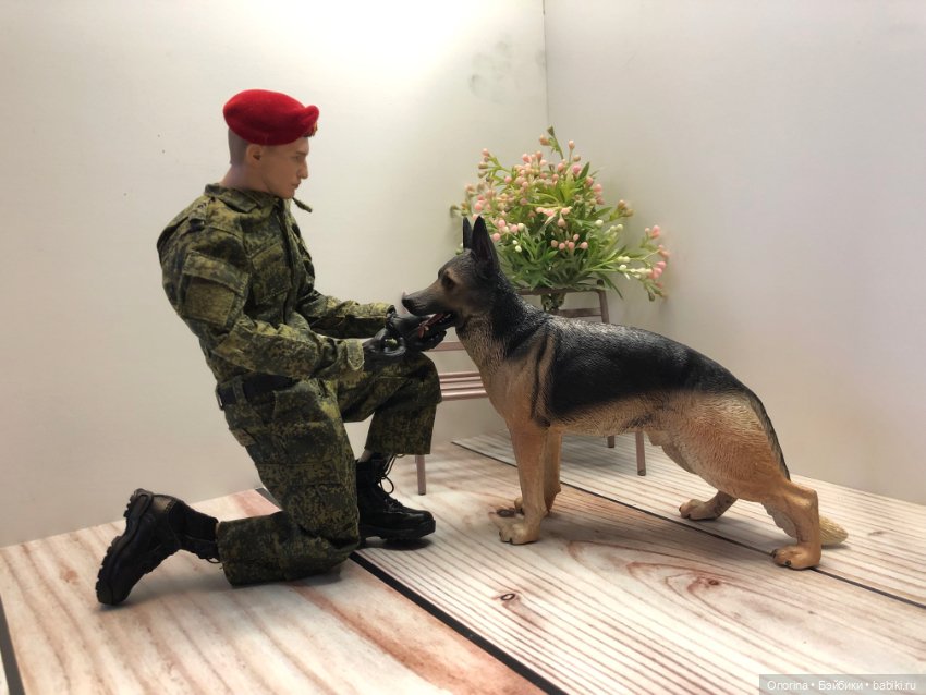 В нашем полку прибыло — Коллекционные экшн