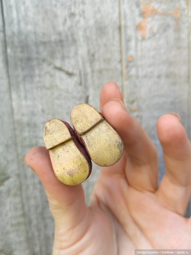 Новая модель кукольной обуви (фото 2)